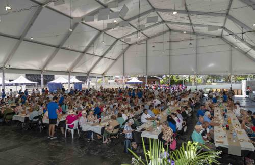 Más de 500 mayores de Mogán celebran el Día Internacional de las Personas de Edad