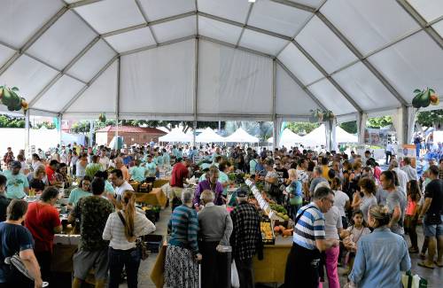 Mogán abre el lunes el plazo de inscripción para participar en la V Feria del Aguacate