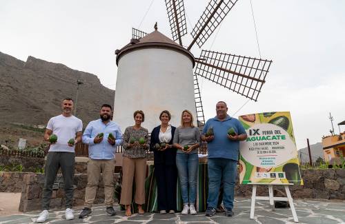 El domingo la IX Feria del Aguacate de Mogán pondrá a la venta más de 4,5  toneladas de este fruto