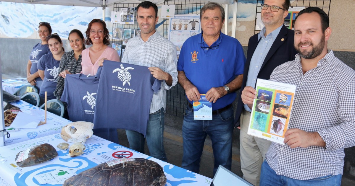 El muelle de Arguineguín acoge una jornada de concienciación para la protección de la tortuga verde