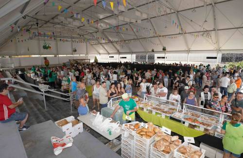 El oro verde de Mogán conquista  10.000 paladares en su feria