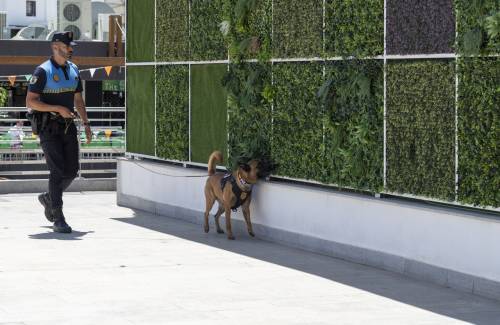 La Unidad Canina de la Policía Local de Mogán planta cara al menudeo de droga