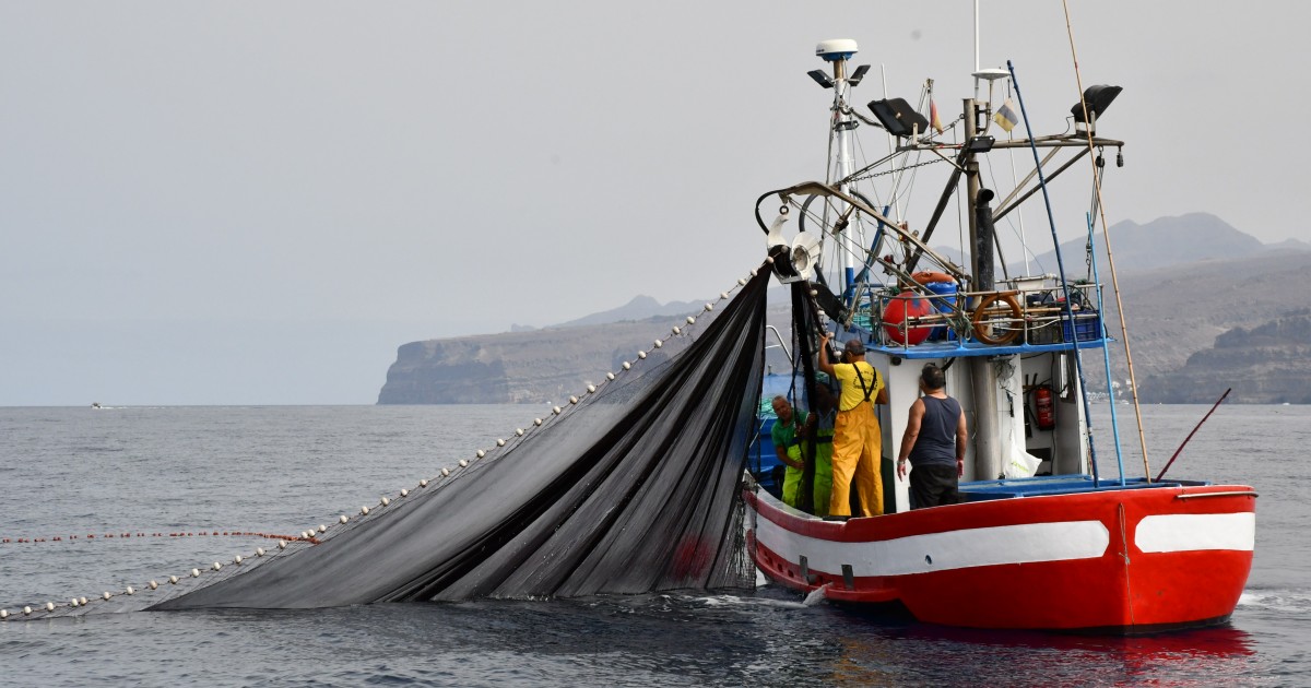 La reapertura de la pesquería del atún blanco alivia a los marineros y marineras  de Mogán