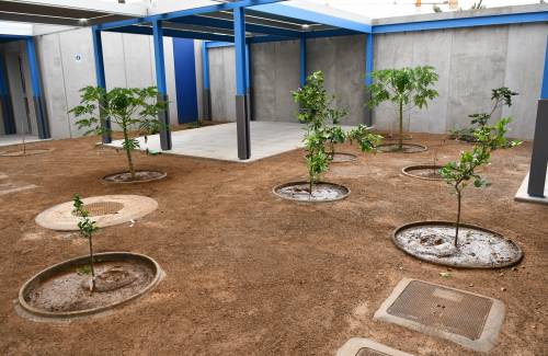 La Escuela Infantil de Arguineguín contará con espacios para la enseñanza del cuidado del medio ambiente