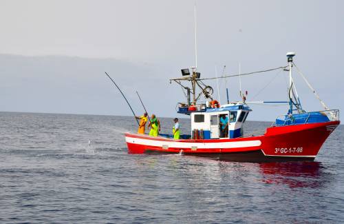 El Ayuntamiento de Mogán organiza una excursión marítima para observar la pesca del atún