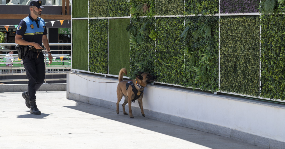 La Unidad Canina de la Policía Local de Mogán planta cara al menudeo de droga