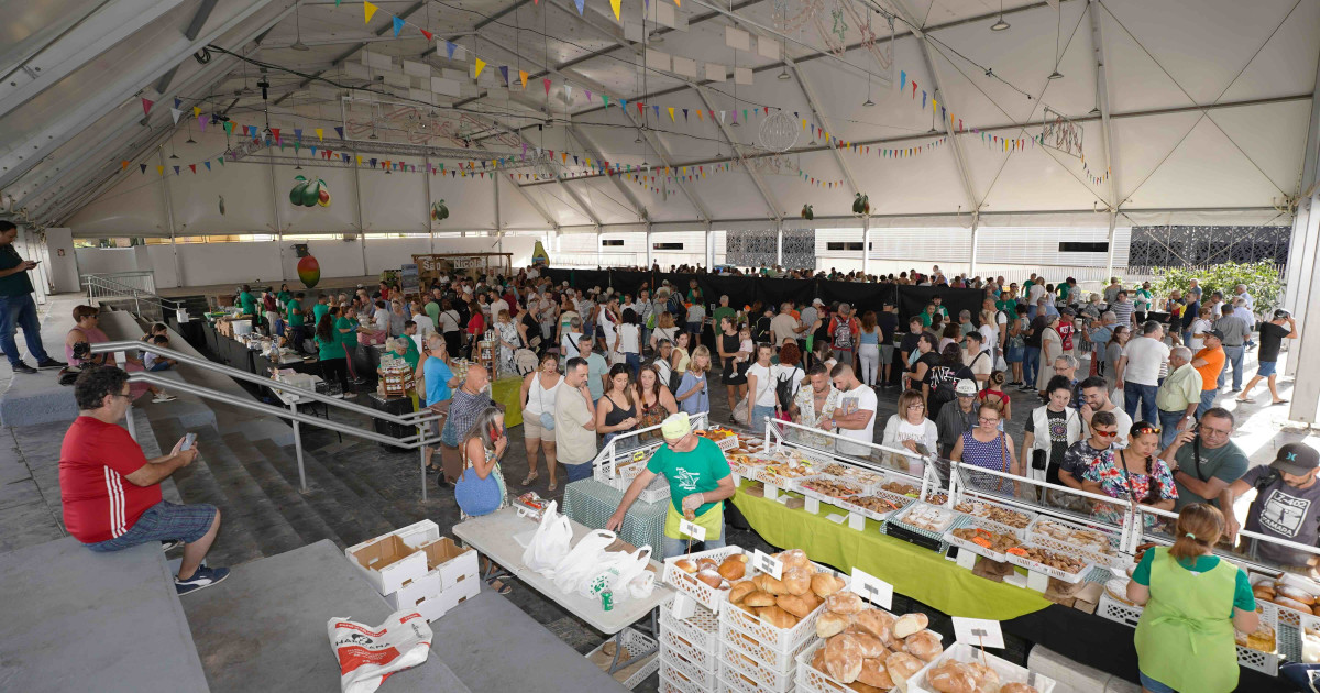 El oro verde de Mogán conquista  10.000 paladares en su feria