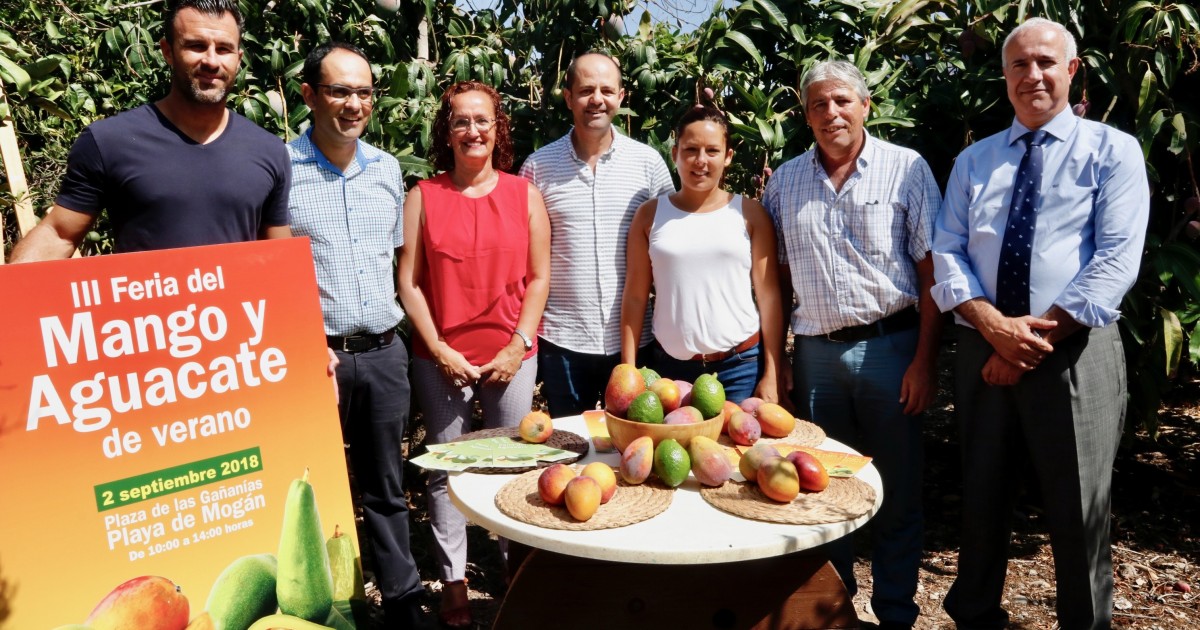 La III Feria del Mango y el Aguacate de Verano de Mogán tendrá una oferta más amplia en variedades