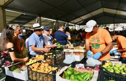 Éxito de venta y asistencia de la IV Feria del Mango y Aguacate de Mogán