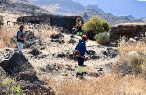 Mogán desbroza 4,3 hectáreas en barrancos y márgenes rurales para prevenir incendios