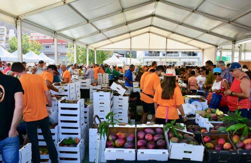 Mogán abre el plazo de inscripción para participar en la V Feria del Mango y Aguacate de Verano