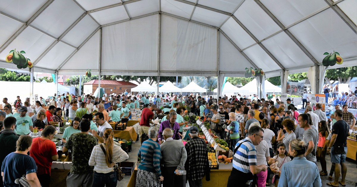 Mogán abre el lunes el plazo de inscripción para participar en la V Feria del Aguacate