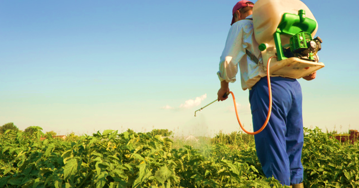 Mogán celebrará un curso de  manipulador de productos fitosanitarios  del 9 al 16 de diciembre
