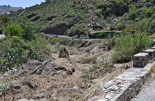 El Ayuntamiento de Mogán comienza la limpieza de un kilómetro de cañaverales en el barranco de Arguineguín